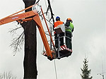 kácení ve stížených podmínkách